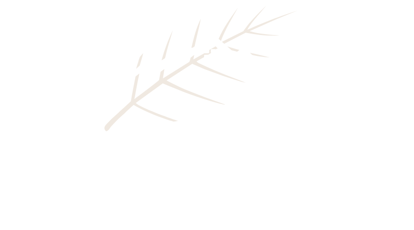 Logo Peruvian Eco Lodge